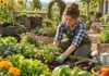 Best Gardening Techniques for Stronger Plants Best Gardening Techniques for Stronger Plants