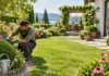 Garden Maintenance Tips for a Healthy Outdoor Space Garden Maintenance Tips for a Healthy Outdoor Space