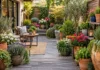 Small Garden Ideas With Pots and Containers Small Garden Ideas With Pots and Containers